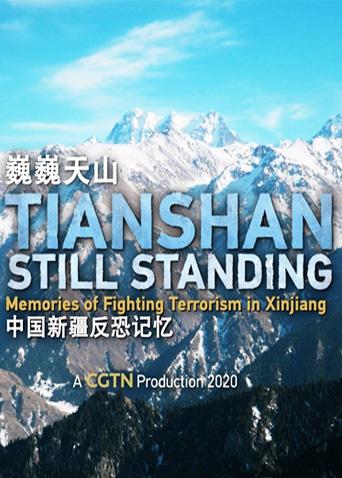 巍巍天山中国新疆反恐记忆