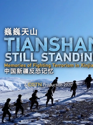 巍巍天山—中国新疆反恐记忆