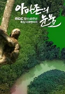 岳婿合体和岳伦之乐的区别